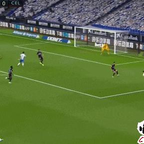 维加塞尔塔球员名单最新,塞尔维亚0:1加纳