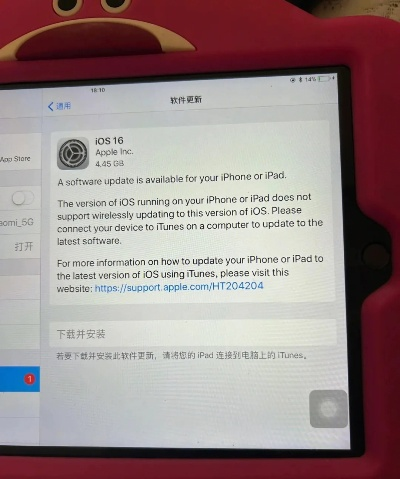iPad版本升级与软件许可证类型的详细解析