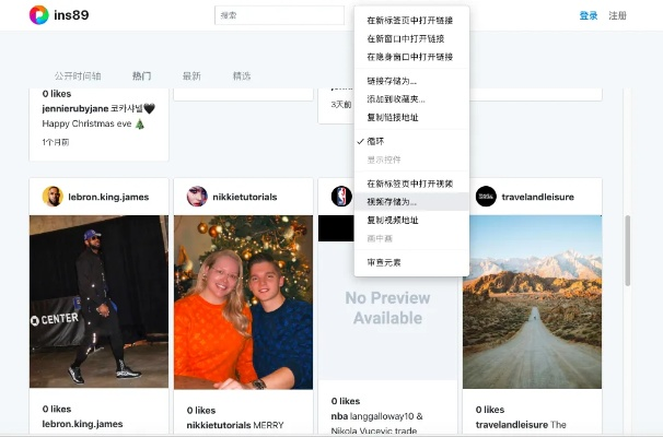 ins中国版本同p搜 官方下载,实地研究解释定义 领航款_v5.542